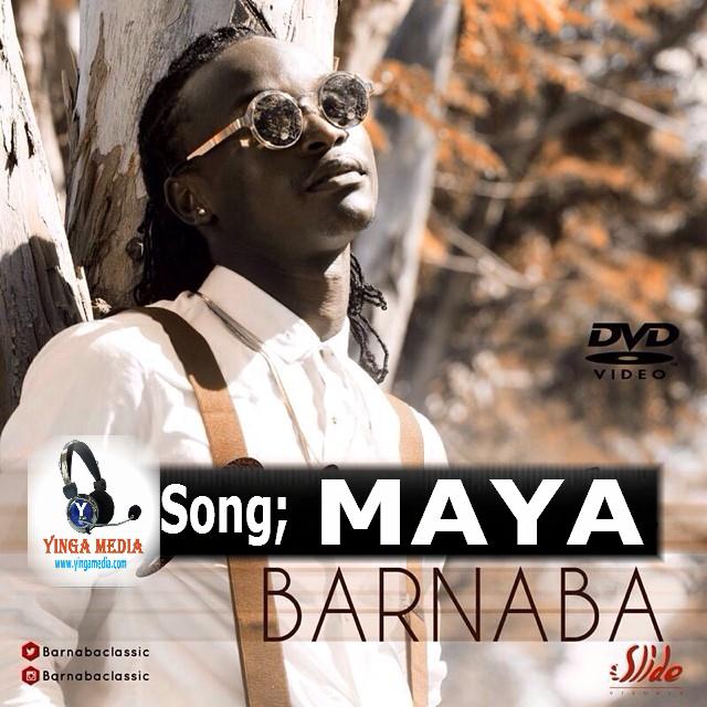 barnaba maya live
