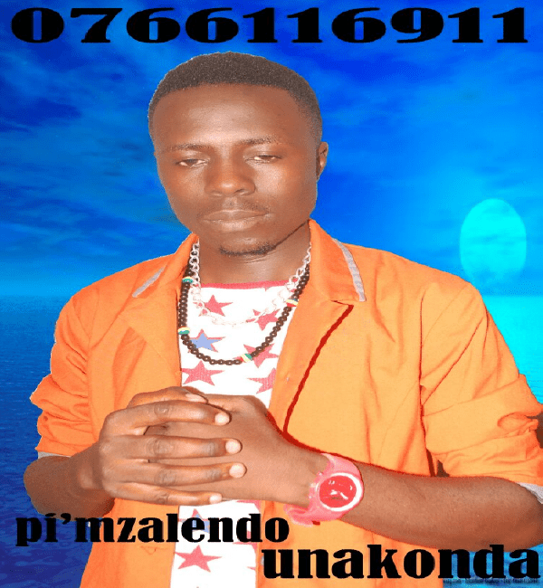 mzalendo