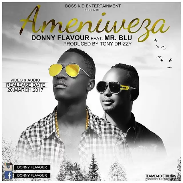 donny flavour ft mr blue ameniweza
