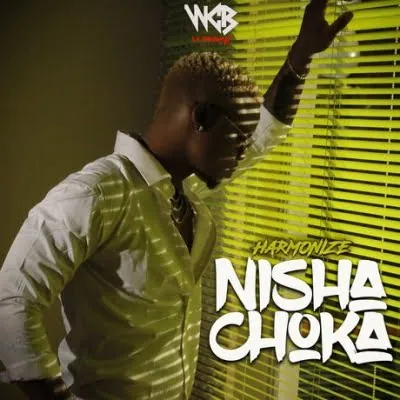 Harmonize Nishachoka nishachoka