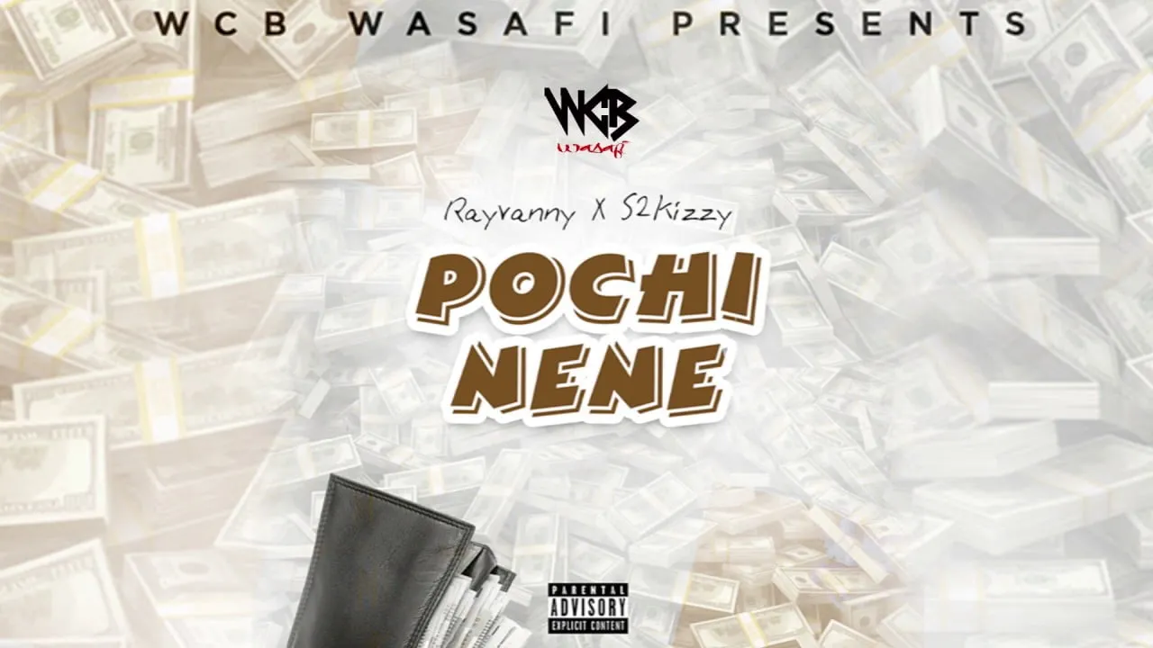 rayvanny x s2kizzy pochi nene