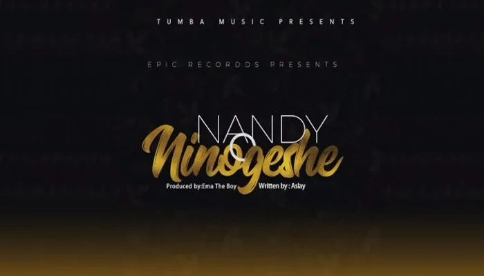 nandy ninogeshe