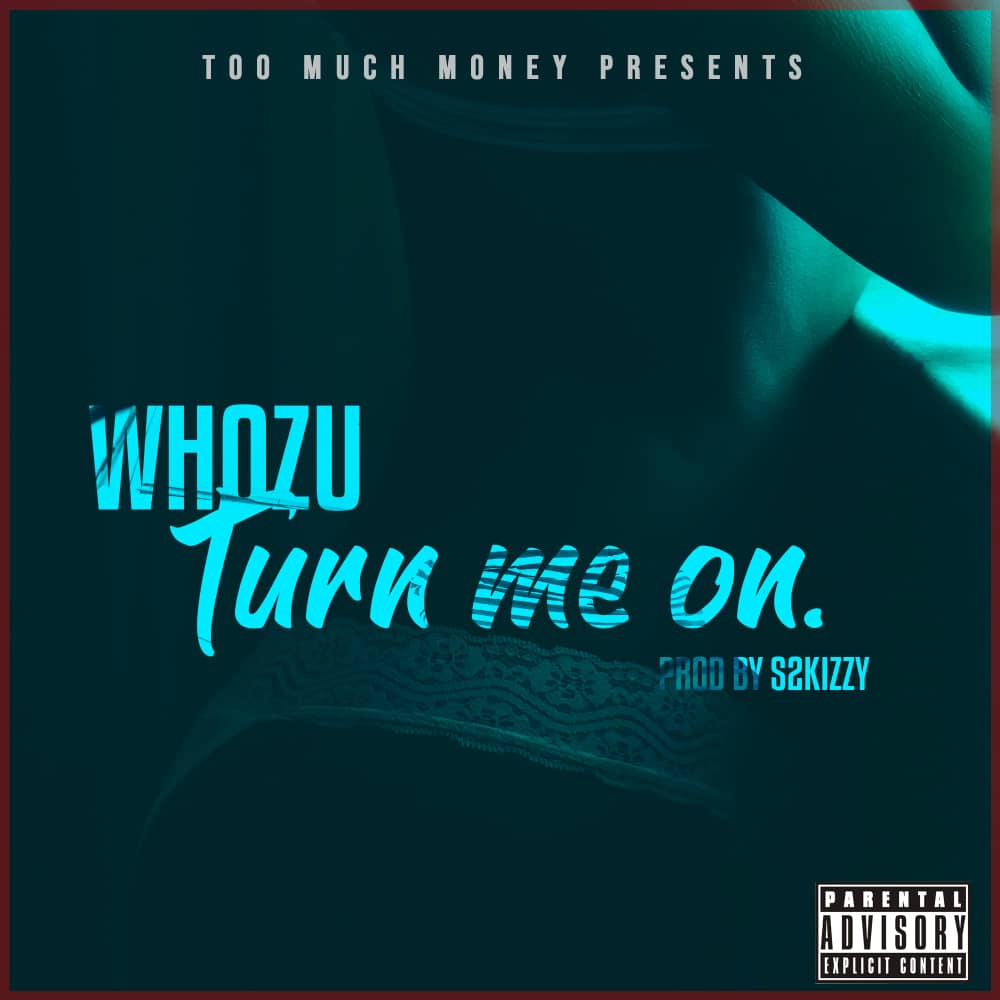 whozu ft s2kizzy turn me on