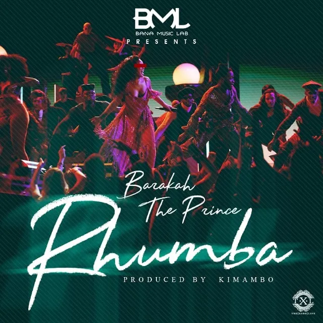 barakah the prince ft brian feel rhumba