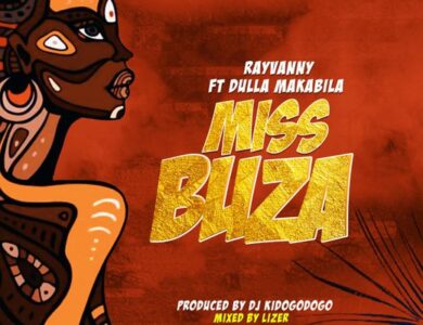 rayvanny ft dulla makabila miss buza