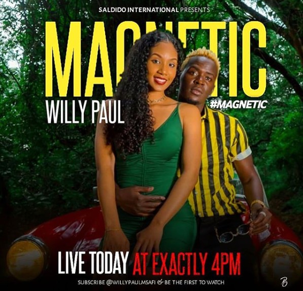 willy paul magnetic