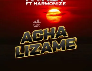 nandy ft harmonize acha lizame