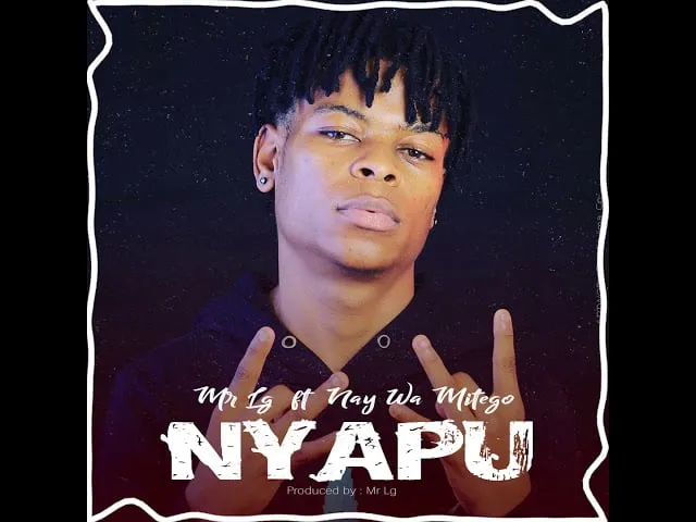 MrLg ft Nay Wa Mitego Nyapu mrlg ft nay wa mitego nyapu