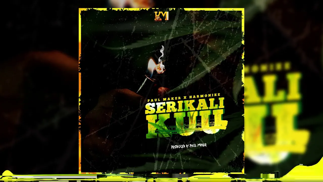 harmonize x paul maker serikali kuu
