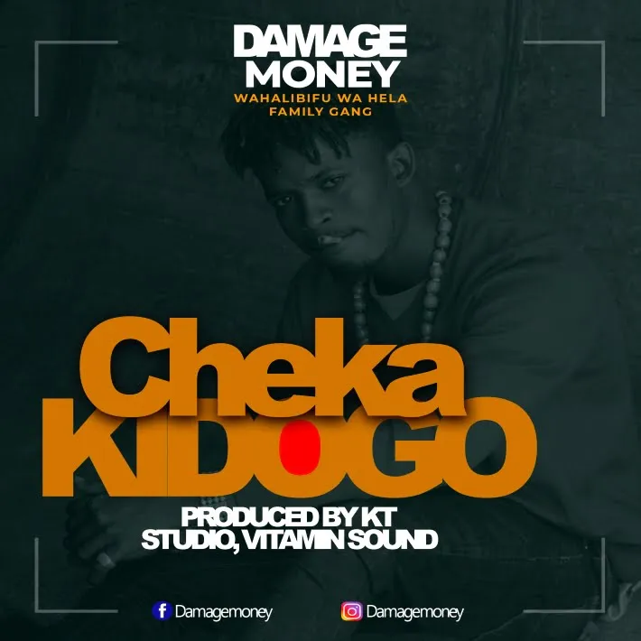 damage money cheka kidogo