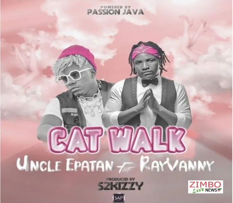 Uncle Epatan Ft Rayvanny uncle epatan ft rayvanny cat walk