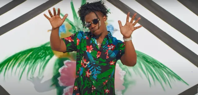 video uncle epatan ft rayvanny cat walk