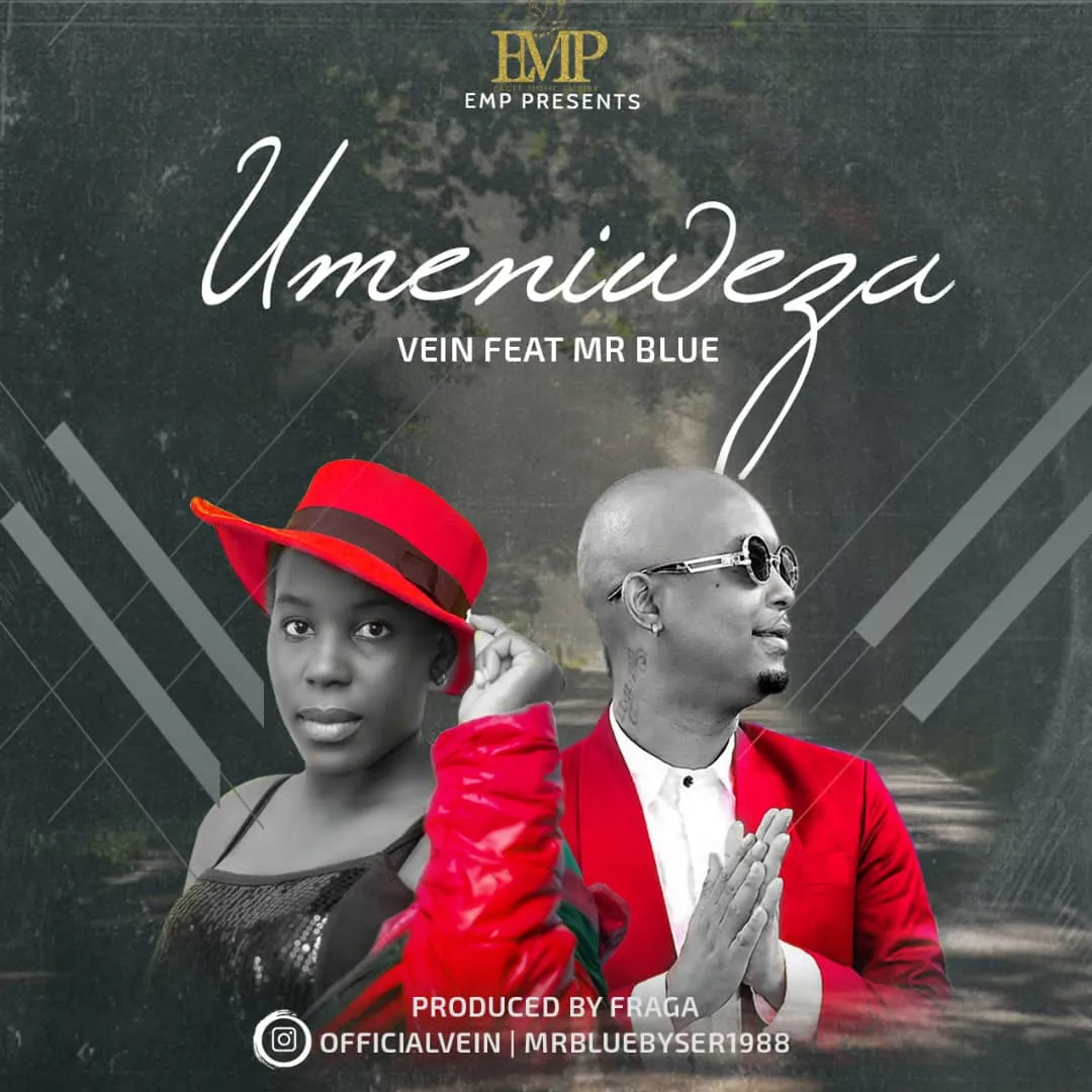Vein Ft Mr. Blue - Umeniweza