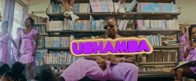 DOWNLOAD VIDEO Harmonize – Ushamba