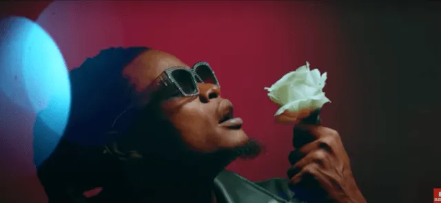 DOWNLOAD VIDEO Pallaso - Malamu
