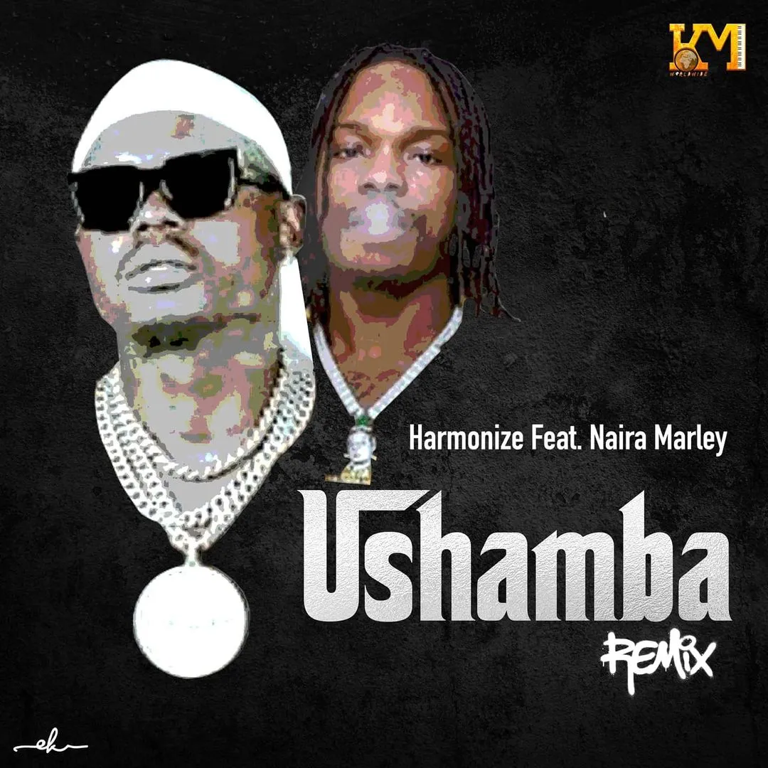 Harmonize Ft Naira Marley Ushamba Remix Harmonize Ft Naira Marley - Ushamba Remix