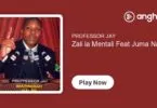 Professor Jay Ft Juma Nature - Zali La Mentali