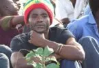 Twenty Percent (20%) - Mama Neema