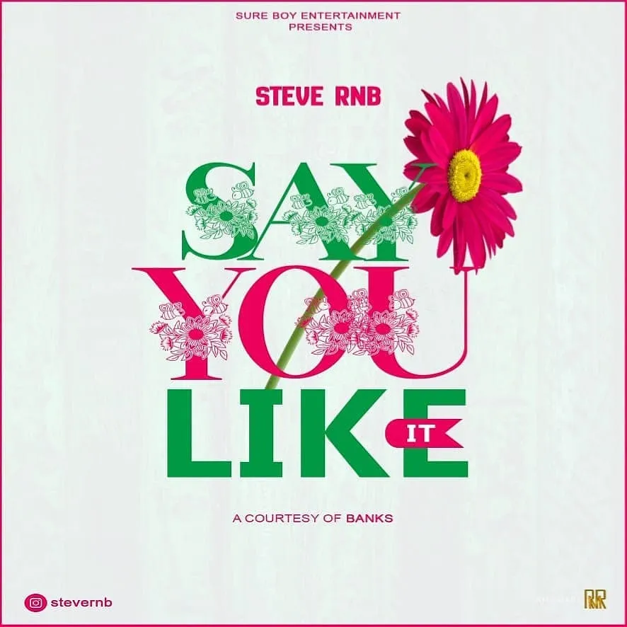 steve rnb say you like it