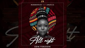 harmonize ft anjella all night edm version