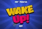 mr nana rudi