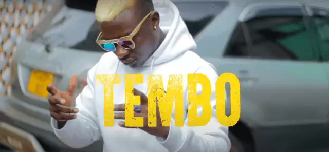 video kd mnyama tembo