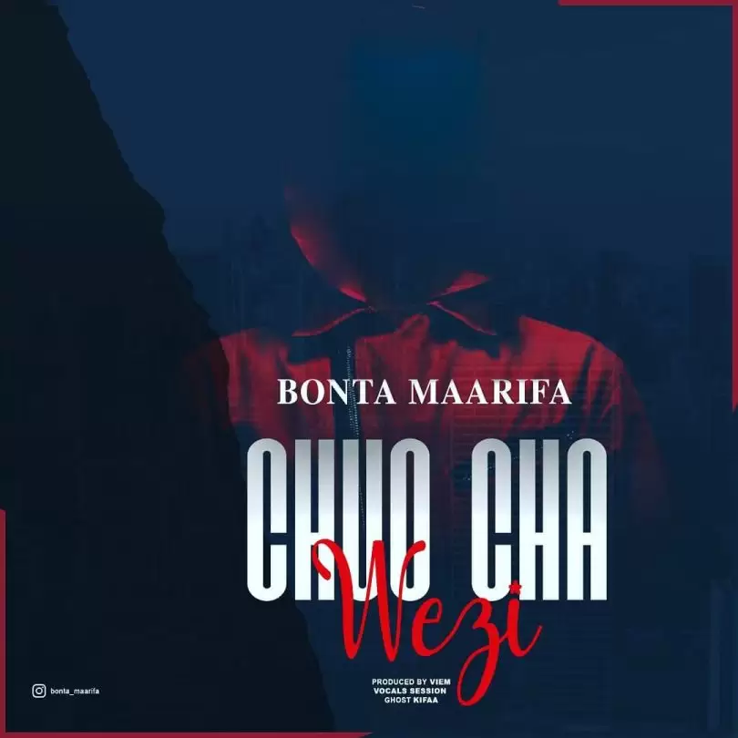 bonta maarifa chuo cha wezi