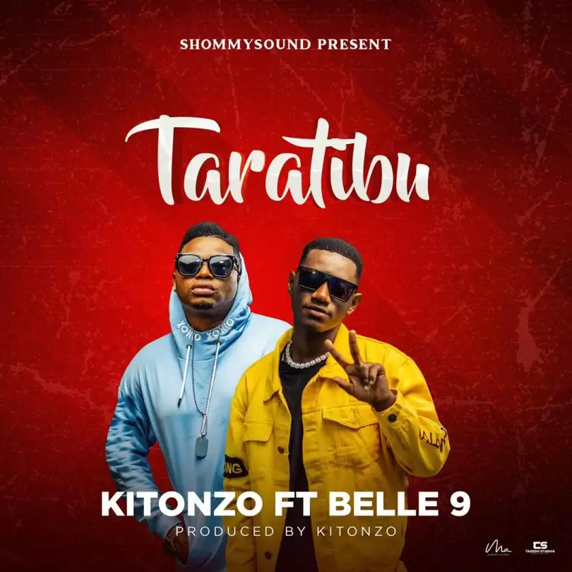 kitonzo ft belle 9 taratibu