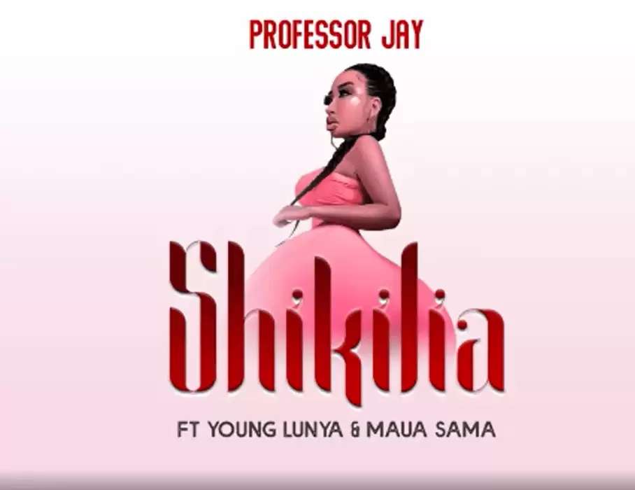 professor jay ft young lunya maua sama shikilia