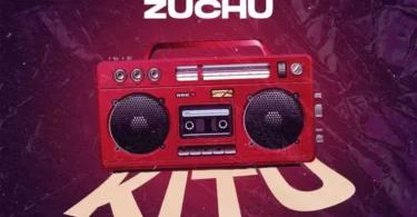 Download Zuchu Kitu