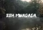shamte shamte mwadada lyrics video