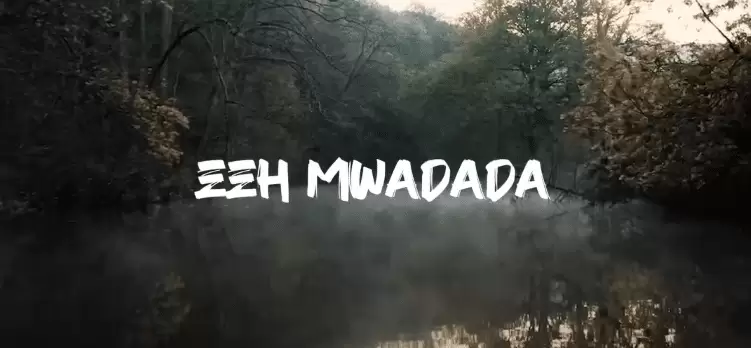 shamte shamte mwadada lyrics video