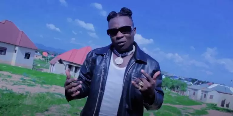 video kd mnyama timua vumbi