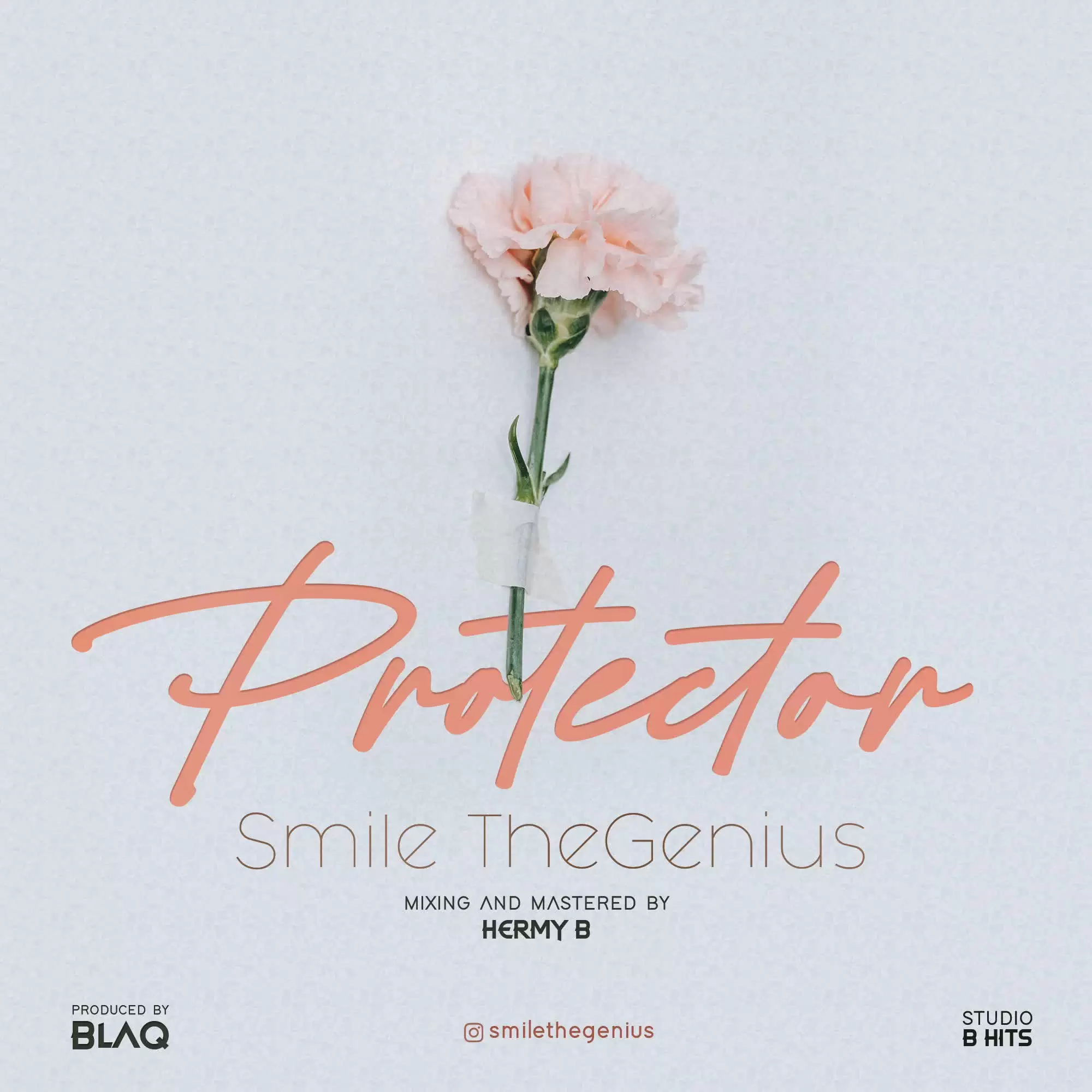smile protector