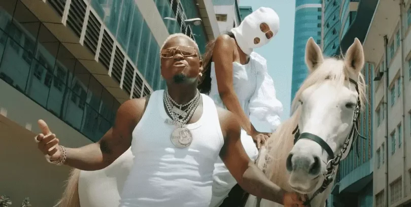 harmonize mdomo video