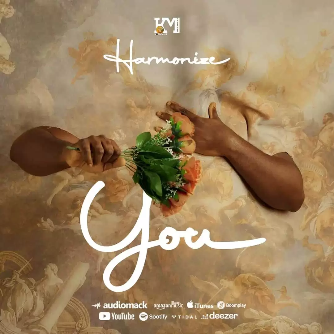 Harmonize You harmonize you