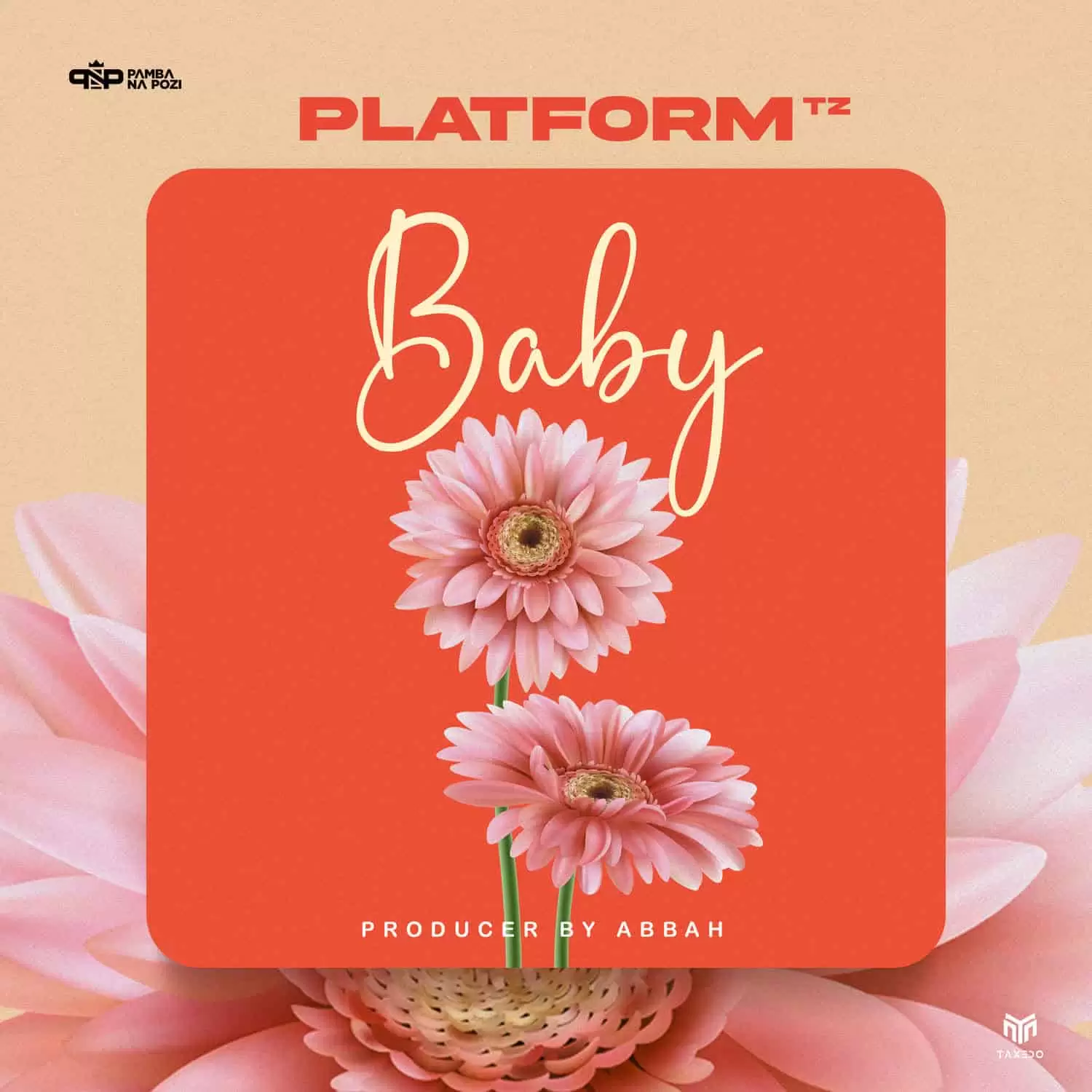 Platform TZ Baby Baby