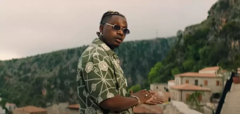 video rayvanny ft luana vjollca pele pele