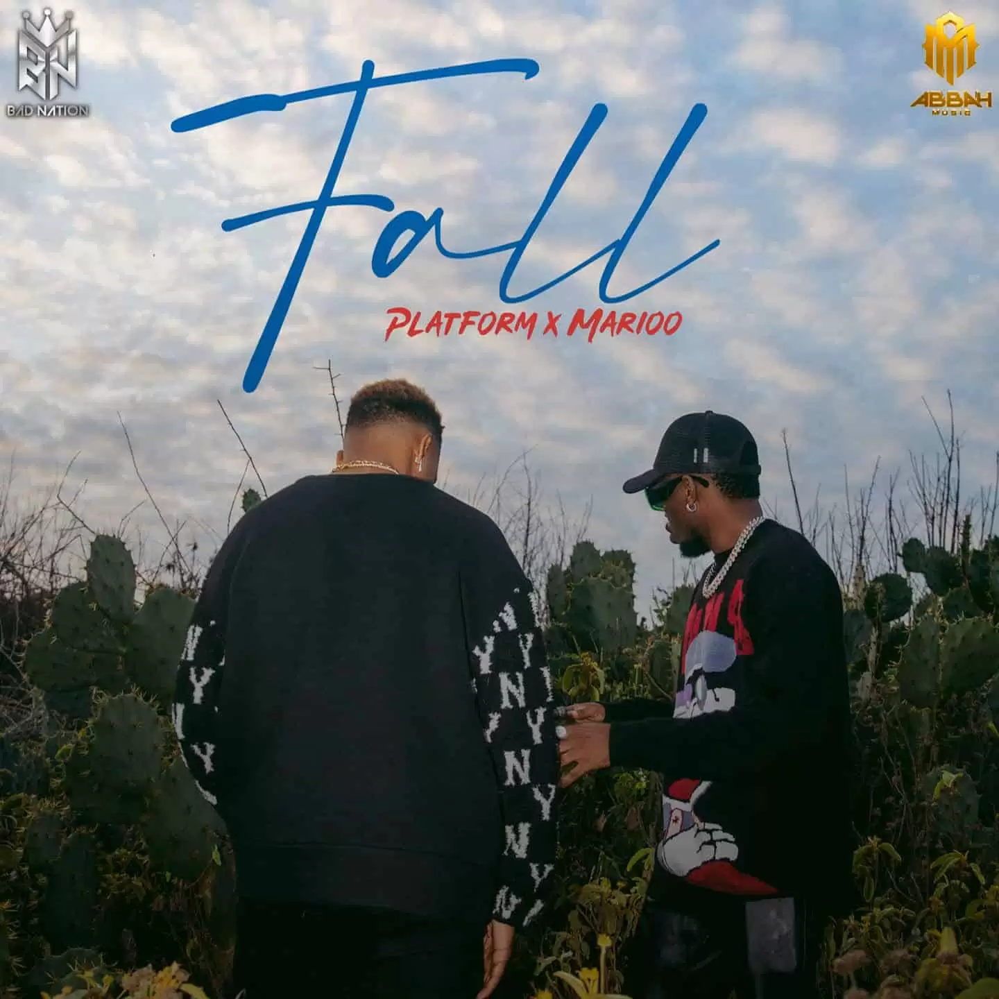 Platform Tz ft Marioo Platform Fall