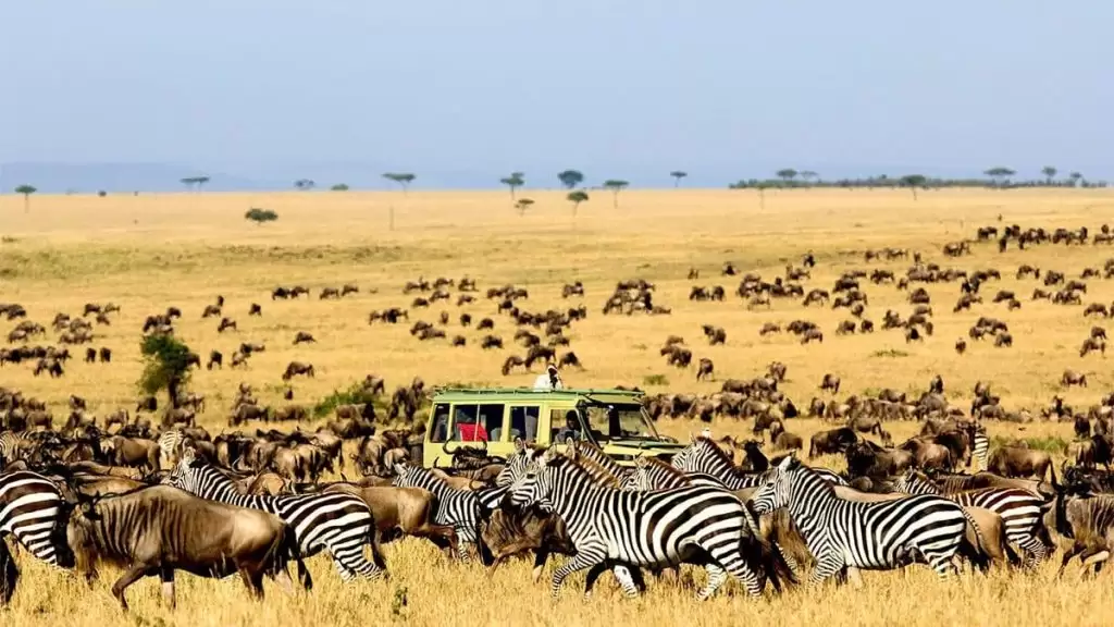 Serengeti National Park