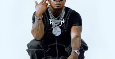 harmonize mwenyewe