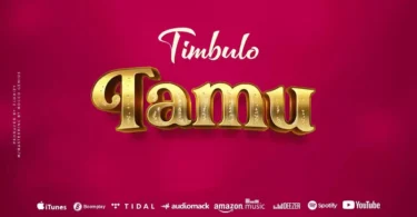 timbulo tamu