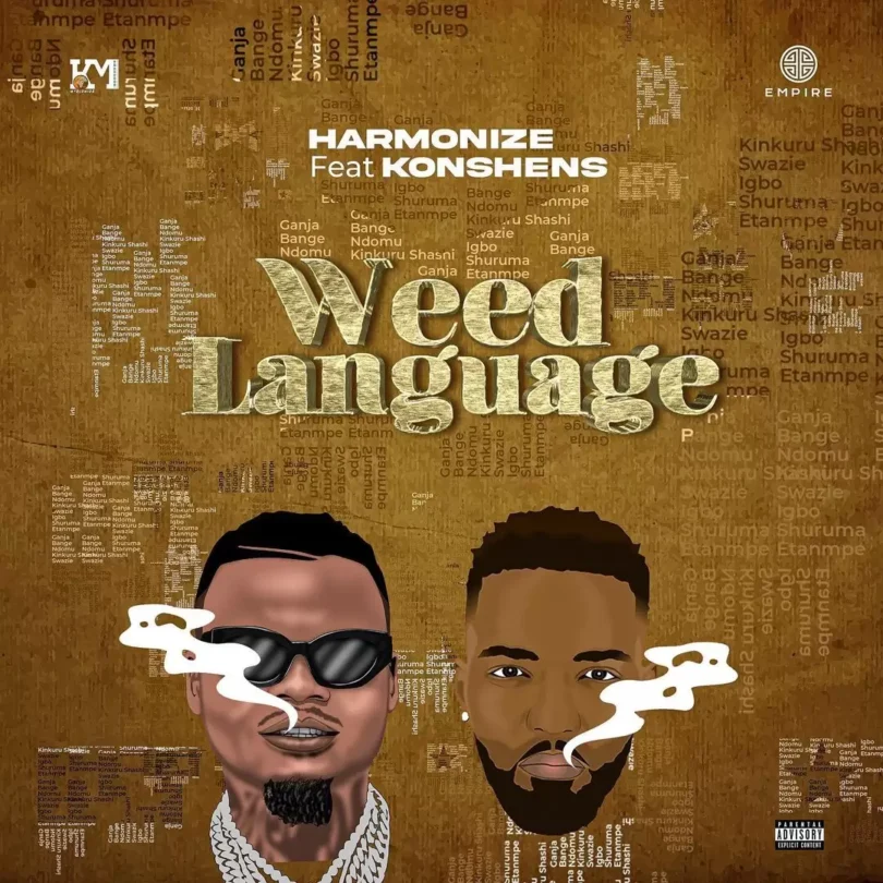 harmonize ft konshens weed language