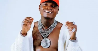 harmonize wote