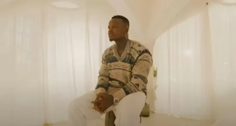 video harmonize wote