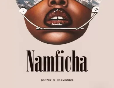joozey ft harmonize namficha
