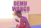 meja kunta ft marioo demu wangu remix