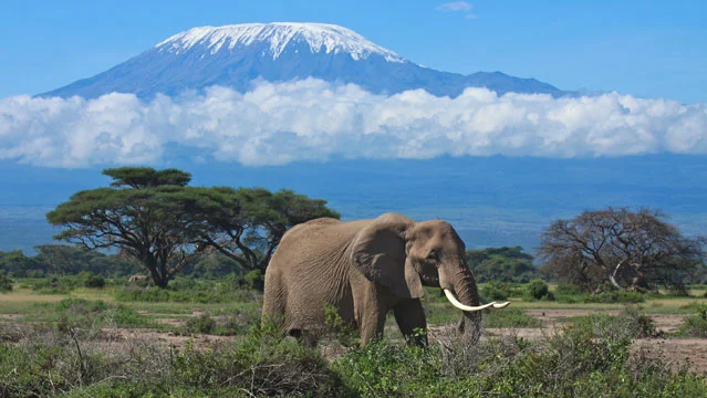 Mount Kilimanjaro