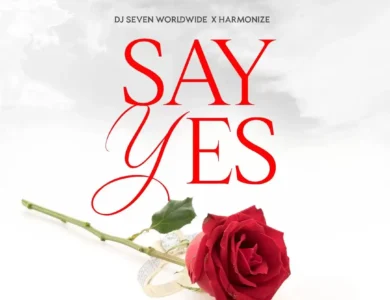 dj seven ft harmonize say yes