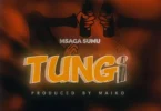 msaga sumu tungi